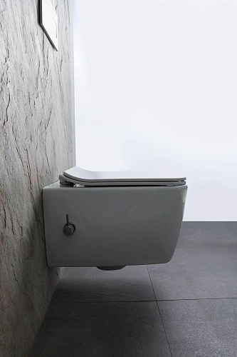 Унитаз подвесной Allen Brau Liberty 4.33009.20 с крышкой, белый Унитаз подвесной Allen Brau Liberty 4.33009.20 с крышкой, белый