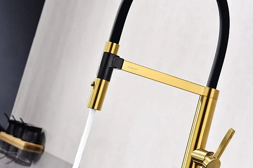 Смеситель для кухни Paulmark Leader брашированное золото Le214101-BG Смеситель для кухни Paulmark Leader брашированное золото Le214101-BG