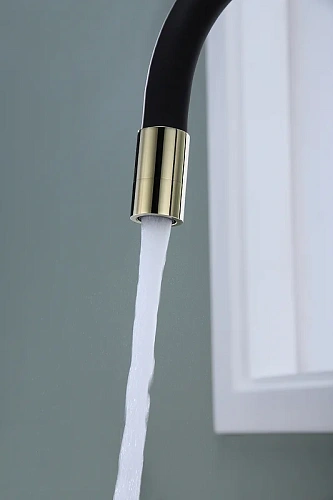 Смеситель для кухни Paulmark Salix золото Sa213419-G Смеситель для кухни Paulmark Salix золото Sa213419-G