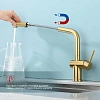 Смеситель для кухни Raglo R86.49.03 с выдвижным изливом, золотой сатин Смеситель для кухни Raglo R86.49.03 с выдвижным изливом, золотой сатин