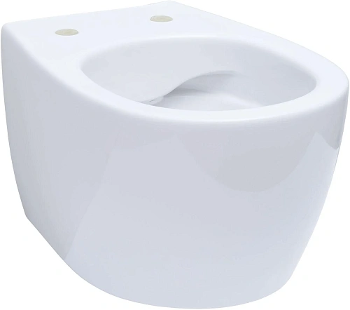 Комплект унитаза Allen Brau Fantasy 4.11004.20/8.9466.0.000.000.1 (00316504) с инсталляцией, белый глянец Комплект унитаза Allen Brau Fantasy 4.11004.20/8.9466.0.000.000.1 (00316504) с инсталляцией, белый глянец