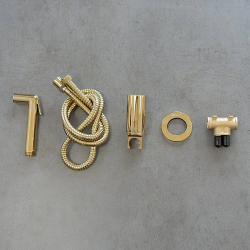 Гигиенический душ Lemark Solo LM7171G, встраиваемый, золото Гигиенический душ Lemark Solo LM7171G, встраиваемый, золото