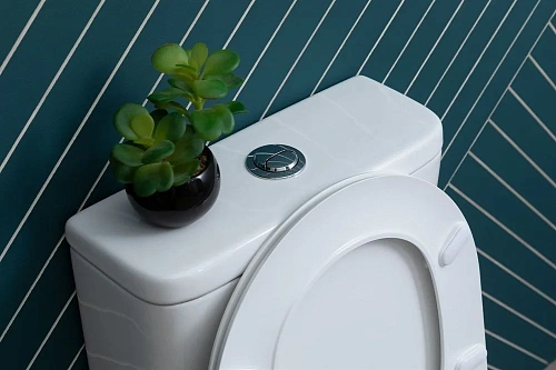 Чаша напольного унитаза Aquanet Rimless Roll 2-C CL-12289 с сиденьем Чаша напольного унитаза Aquanet Rimless Roll 2-C CL-12289 с сиденьем