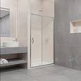 Детальная картинка товара «душевая дверь rgw passage pa-016 1500 мм easy clean хром 350801615-11»