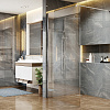 Душевая перегородка Ambassador Walk-in 1 (900x2000) Душевая перегородка Ambassador Walk-in 1 (900x2000)