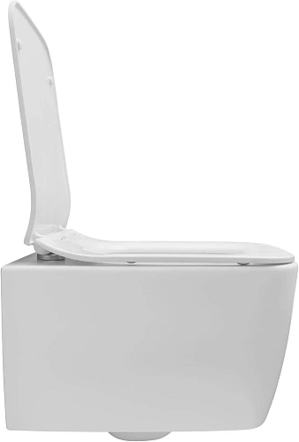 Унитаз подвесной Allen Brau Liberty 4.33007.21 с крышкой, белый матовый Унитаз подвесной Allen Brau Liberty 4.33007.21 с крышкой, белый матовый