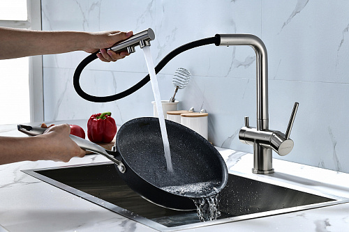 Смеситель для кухни Paulmark SERPENTINE брашированная сталь Se213222-BS Смеситель для кухни Paulmark SERPENTINE брашированная сталь Se213222-BS