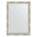 Зеркало в багетной раме Evoform Exclusive BY 1199 71 x 101 см, алюминий Зеркало в багетной раме Evoform Exclusive BY 1199 71 x 101 см, алюминий