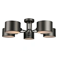 Люстра потолочная Omnilux Lisera OML-54507-05 Люстра потолочная Omnilux Lisera OML-54507-05