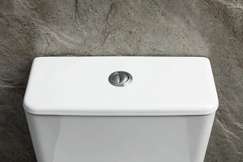 Чаша напольного унитаза Allen Brau Priority Tornado 4.31006.20 с крышкой, белый глянец Чаша напольного унитаза Allen Brau Priority Tornado 4.31006.20 с крышкой, белый глянец