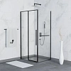 Душевой уголок RGW SV-42-1B (SV-12B + Z-060-2B) 1100x1000 мм 323242110-014 черный Easy Clean Душевой уголок RGW SV-42-1B (SV-12B + Z-060-2B) 1100x1000 мм 323242110-014 черный Easy Clean