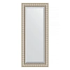 Зеркало в багетной раме Evoform Exclusive BY 1268 62 x 147 см, серебряный акведук Зеркало в багетной раме Evoform Exclusive BY 1268 62 x 147 см, серебряный акведук
