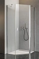 Душевая дверь Radaway NES PTJ Right 10052000-01-01R Душевая дверь Radaway NES PTJ Right 10052000-01-01R