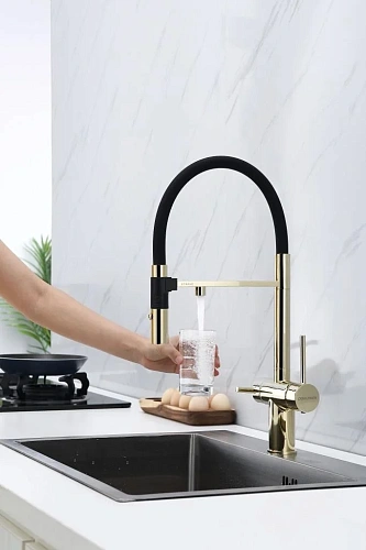 Смеситель для кухни Paulmark Gravity золото Gr213888-G Смеситель для кухни Paulmark Gravity золото Gr213888-G