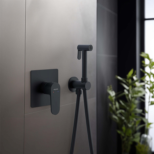 Гигиенический душ Aquatek ОБЕРОН AQ1219MB Черный матовый, встраиваемый Гигиенический душ Aquatek ОБЕРОН AQ1219MB Черный матовый, встраиваемый