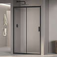 Детальная картинка товара «душевая дверь rgw passage pa-016b 1200 мм easy clean черный 350801612-24»