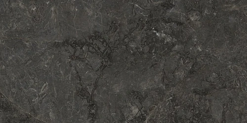 Керамогранит Neodom Ambassador Flagstone Polished 60x120 N70008 Керамогранит Neodom Ambassador Flagstone Polished 60x120 N70008