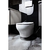 Унитаз подвесной Boheme FIORE 978-SET-W белый глянец c крышкой Унитаз подвесной Boheme FIORE 978-SET-W белый глянец c крышкой