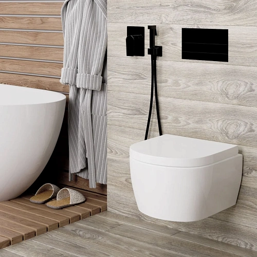 Смеситель для душа WasserKRAFT Glan 6651 черный Смеситель для душа WasserKRAFT Glan 6651 черный