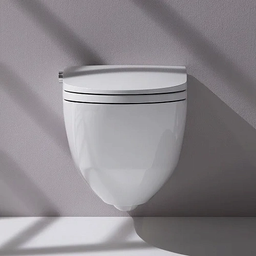 Унитаз SMART Laufen Cleanet Riva Rimless 2069.1 (8.2069.1.400.000.1) Унитаз SMART Laufen Cleanet Riva Rimless 2069.1 (8.2069.1.400.000.1)