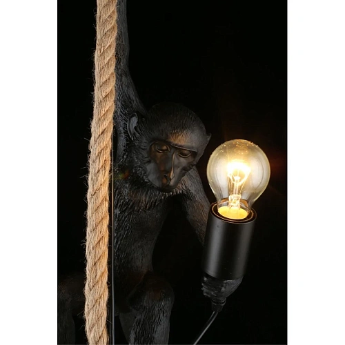 Светильник подвесной Aployt Magali APL.309.16.01 Светильник подвесной Aployt Magali APL.309.16.01