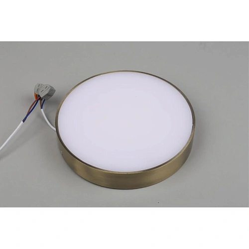 Светильник настенно-потолочный Aployt Evon APL.0113.29.24 Светильник настенно-потолочный Aployt Evon APL.0113.29.24