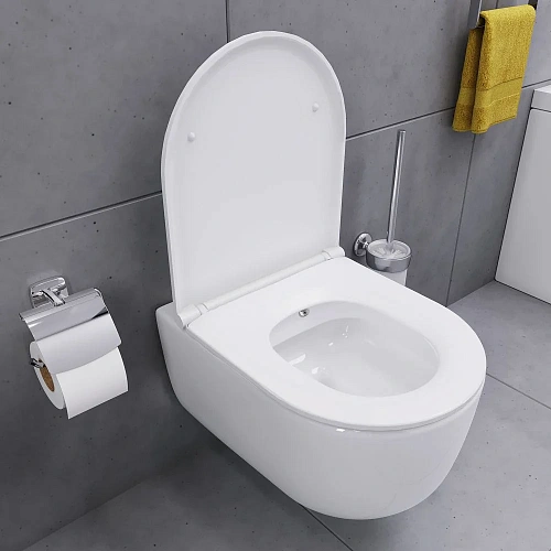 Унитаз подвесной Damixa Sirius DX86C1800SC безободковый с функцией биде с сиденьем микролифт Унитаз подвесной Damixa Sirius DX86C1800SC безободковый с функцией биде с сиденьем микролифт