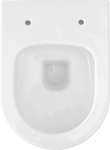 Комплект унитаза Allen Brau Priority 4.31002.20/8.9466.0.000.000.1 (00316509) с инсталляцией, белый глянец Комплект унитаза Allen Brau Priority 4.31002.20/8.9466.0.000.000.1 (00316509) с инсталляцией, белый глянец