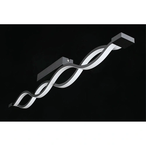 Светильник настенно-потолочный Aployt Nadayn APL.002.12.36 Светильник настенно-потолочный Aployt Nadayn APL.002.12.36