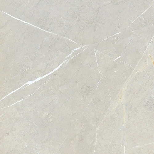 Керамогранит NT Ceramic Bright and Shiny NTT9101 BB6NTT9101P 60x60 Керамогранит NT Ceramic Bright and Shiny NTT9101 BB6NTT9101P 60x60