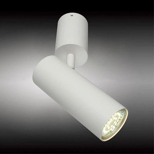 Светильник настенно-потолочный Aployt Berenis APL.007.02.01 Светильник настенно-потолочный Aployt Berenis APL.007.02.01