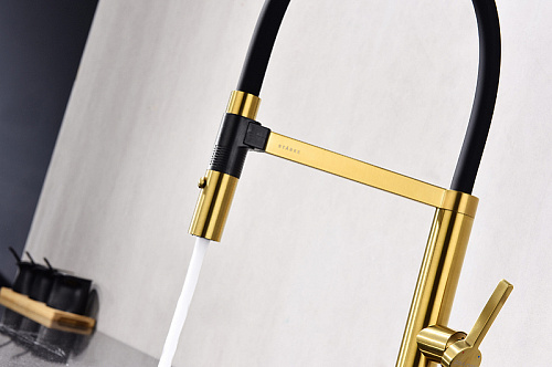 Смеситель для кухни Paulmark Leader брашированное золото Le214101-BG Смеситель для кухни Paulmark Leader брашированное золото Le214101-BG