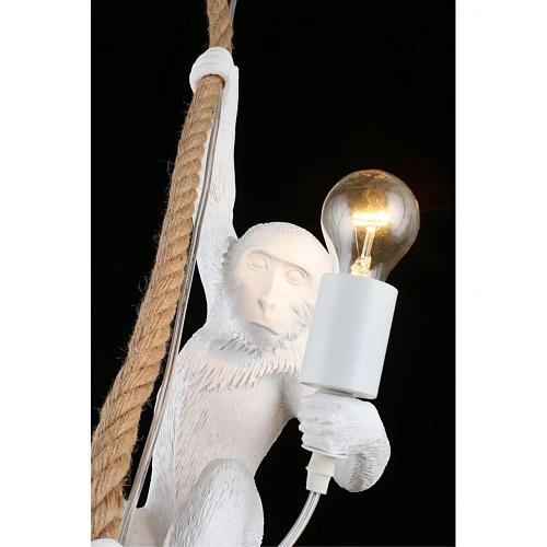 Светильник подвесной Aployt Magali APL.309.06.01 Светильник подвесной Aployt Magali APL.309.06.01