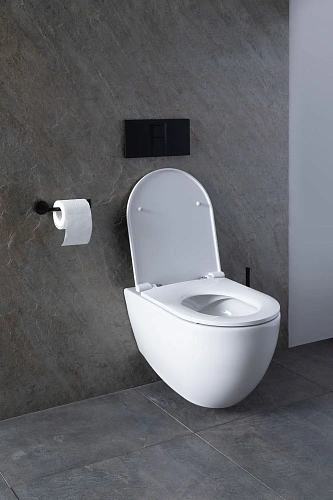 Комплект унитаза Allen Brau Reality 4.32006.20/8.9466.0.000.000.1 (00316510) с инсталляцией, белый глянец Комплект унитаза Allen Brau Reality 4.32006.20/8.9466.0.000.000.1 (00316510) с инсталляцией, белый глянец