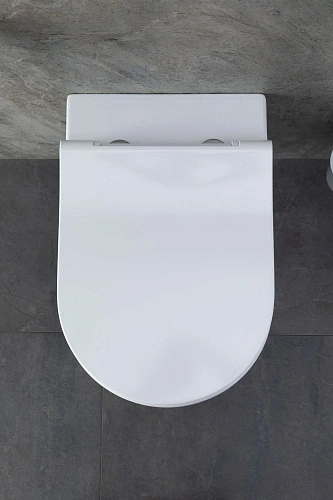 Комплект унитаза Allen Brau Priority 00301296/8.9466.0.000.000.1 (00316508) с инсталляцией, белый глянец Комплект унитаза Allen Brau Priority 00301296/8.9466.0.000.000.1 (00316508) с инсталляцией, белый глянец