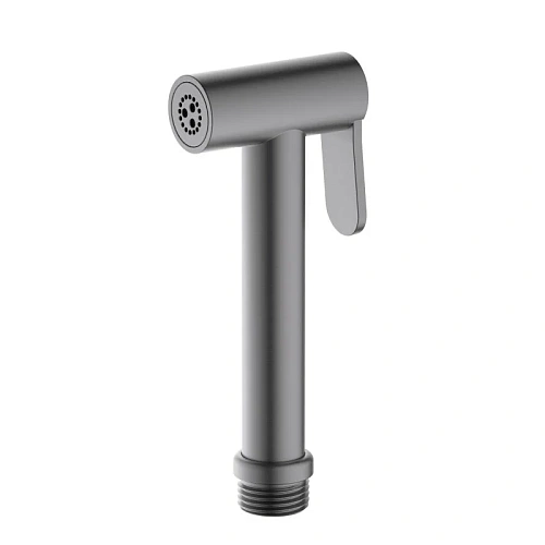 Гигиеническая лейка Aquatek AQ2057BGM черный хром шлифованный Гигиеническая лейка Aquatek AQ2057BGM черный хром шлифованный