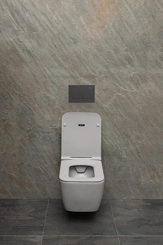 Унитаз подвесной Allen Brau Liberty 4.33007.AN с крышкой, антрацит Унитаз подвесной Allen Brau Liberty 4.33007.AN с крышкой, антрацит