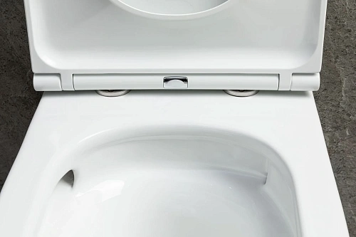 Унитаз подвесной Allen Brau Priority Tornado 4.31008.20 с крышкой, белый глянец Унитаз подвесной Allen Brau Priority Tornado 4.31008.20 с крышкой, белый глянец