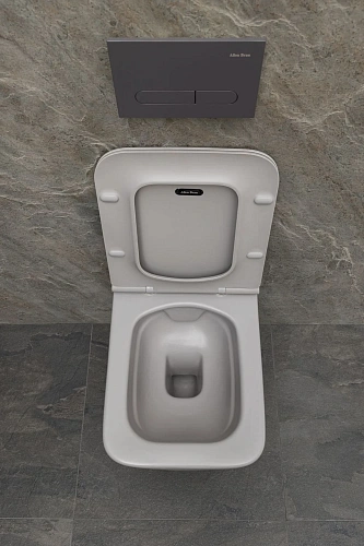 Унитаз подвесной Allen Brau Liberty 4.33007.AN с крышкой, антрацит Унитаз подвесной Allen Brau Liberty 4.33007.AN с крышкой, антрацит