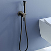 Гигиенический душ RGW Shower Panels SP-206B черный Гигиенический душ RGW Shower Panels SP-206B черный