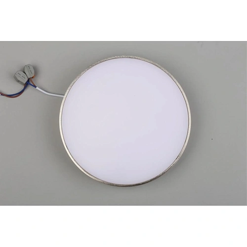 Светильник настенно-потолочный Aployt Evon APL.0114.19.24 Светильник настенно-потолочный Aployt Evon APL.0114.19.24