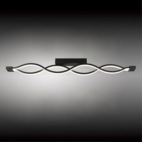 Светильник настенно-потолочный Aployt Nadayn APL.002.12.36 Светильник настенно-потолочный Aployt Nadayn APL.002.12.36