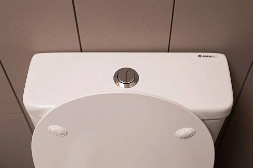 Чаша напольного унитаза Aquanet Rimless Cetus-C1 BL-102N-TPT CETUS-C1 с сиденьем Чаша напольного унитаза Aquanet Rimless Cetus-C1 BL-102N-TPT CETUS-C1 с сиденьем