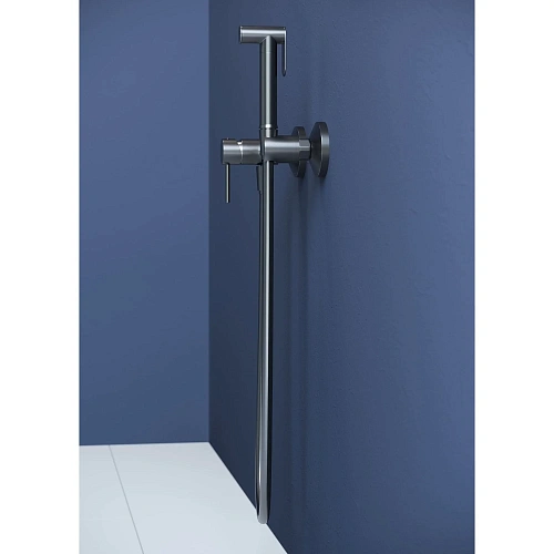 Гигиенический душ RGW Shower Panels SP-215Gr серый brush Гигиенический душ RGW Shower Panels SP-215Gr серый brush