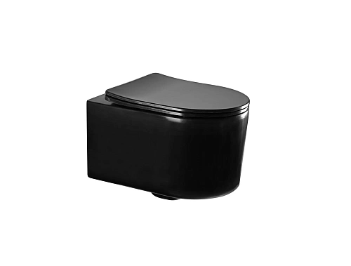 Крышка-сиденье Aquatek МИЯ AQ0204-MB черный матовый Крышка-сиденье Aquatek МИЯ AQ0204-MB черный матовый