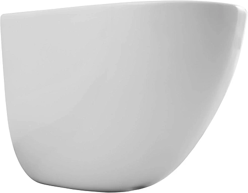 Унитаз подвесной Aquanet EcoVortex Tornado 00348039 Унитаз подвесной Aquanet EcoVortex Tornado 00348039