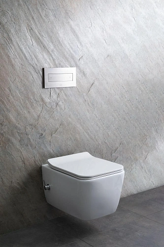 Унитаз подвесной Allen Brau Liberty 4.33009.20 с крышкой, белый Унитаз подвесной Allen Brau Liberty 4.33009.20 с крышкой, белый