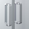 Душевая дверь Ambassador Forsa 17021117AX (1100x2000) Душевая дверь Ambassador Forsa 17021117AX (1100x2000)