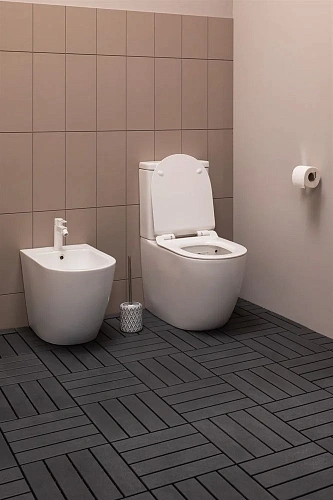 Чаша напольного унитаза Aquanet Rimless Cetus-C1 BL-102N-TPT CETUS-C1 с сиденьем Чаша напольного унитаза Aquanet Rimless Cetus-C1 BL-102N-TPT CETUS-C1 с сиденьем