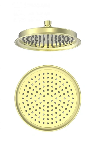 Верхний душ Wonzon & Woghand брашированное золото (WW-88DP05-BG) Верхний душ Wonzon & Woghand брашированное золото (WW-88DP05-BG)